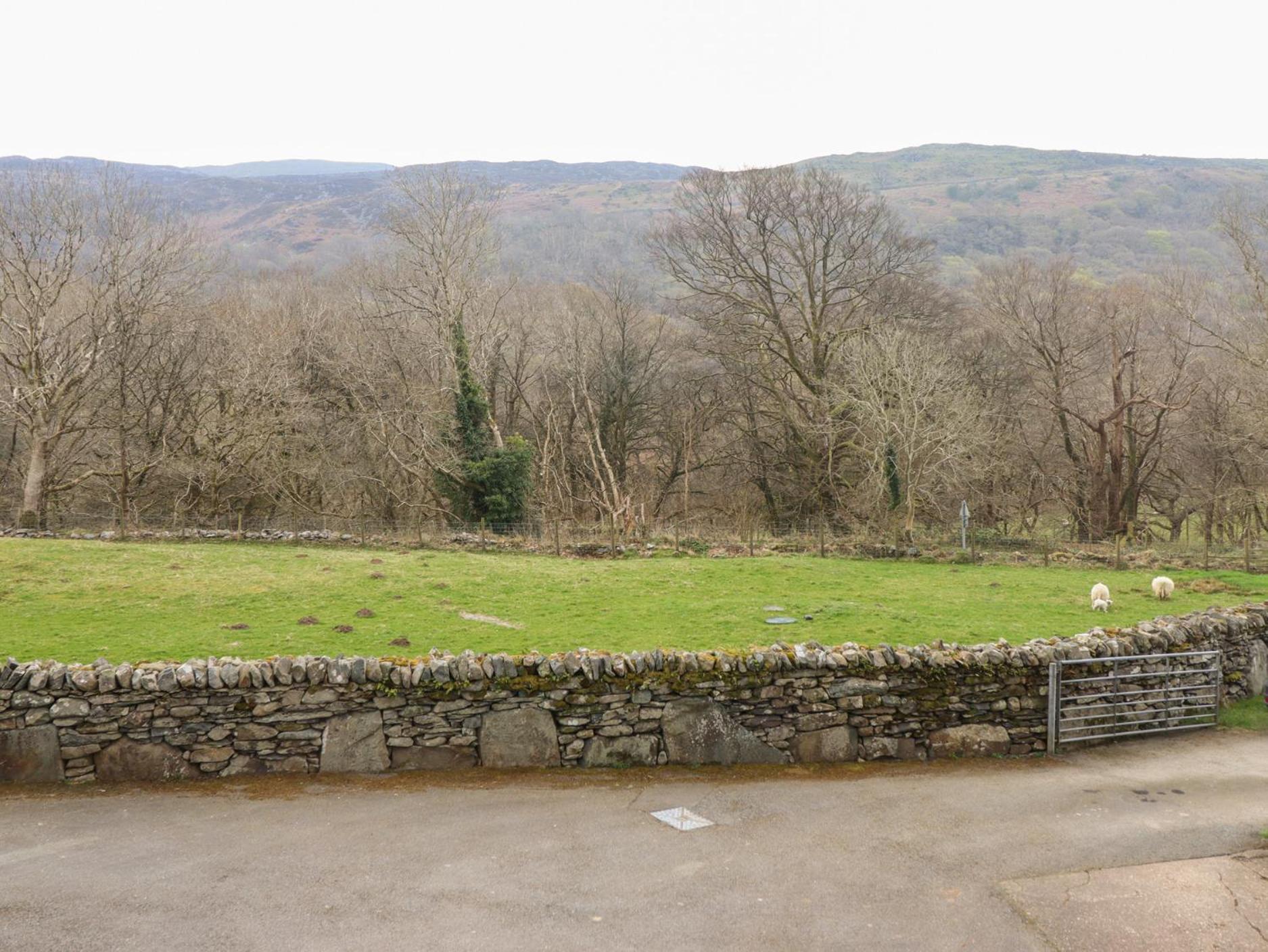 Y Bwthyn Villa Llanbedr  Dış mekan fotoğraf